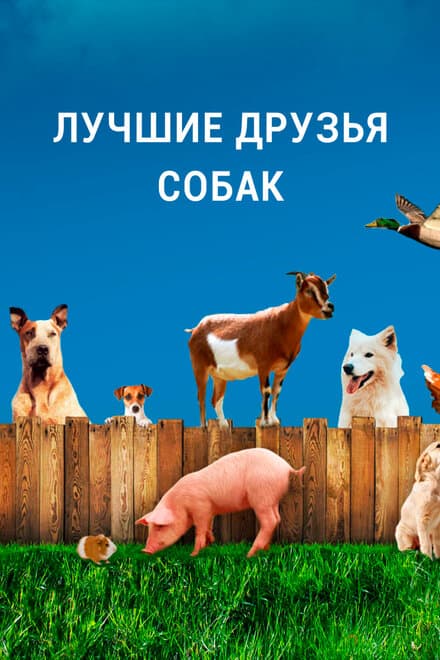Постер к сериалу Лучшие друзья собак 2014