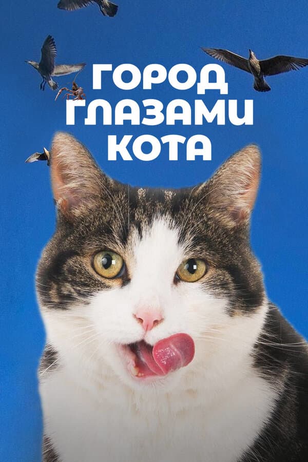Постер к фильму Город глазами кота 2018