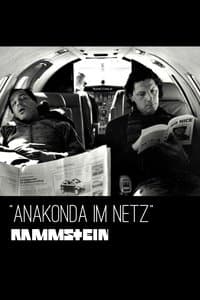 Постер к фильму Анаконда в сети 2006