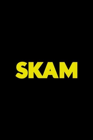 Постер к сериалу Стыд 2015