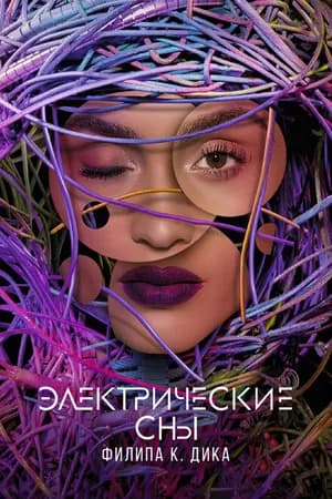 Постер к фильму Электрические сны Филипа К. Дика 2017