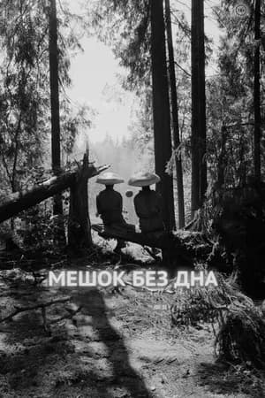 Постер к фильму Мешок без дна 2017