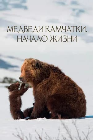 Постер к фильму Медведи Камчатки. Начало жизни 2018