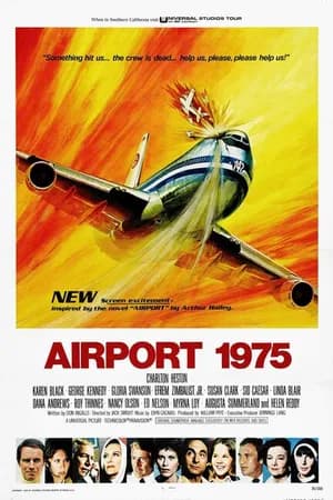 Постер к фильму Аэропорт 1975 1974
