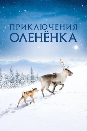 Постер к фильму Приключения олененка 2018