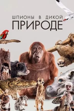 Постер к сериалу Шпионы в дикой природе 2017