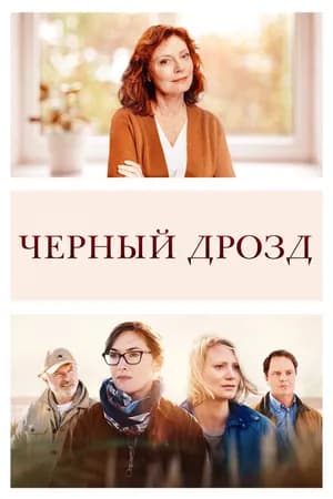 Постер к фильму Чёрный дрозд 2019