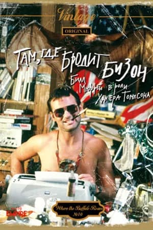 Постер к фильму Там, где бродит бизон 1980