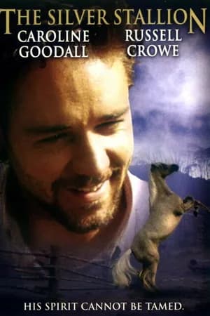 Постер к фильму Серебряный ветер 1993