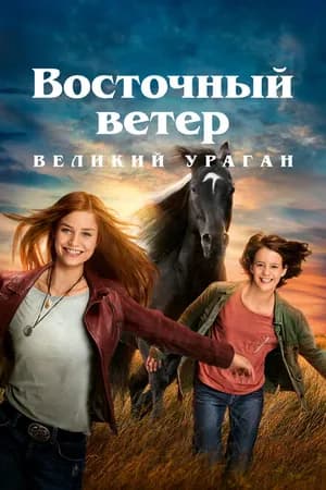 Постер к фильму Восточный ветер. Великий ураган 2021