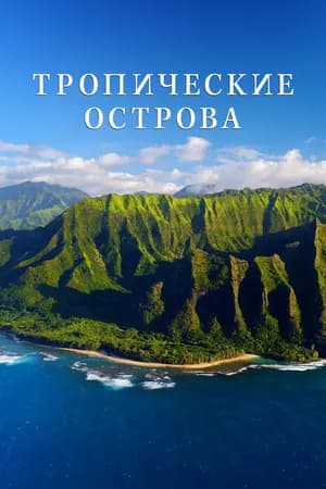 Постер к сериалу Тропические острова 2020
