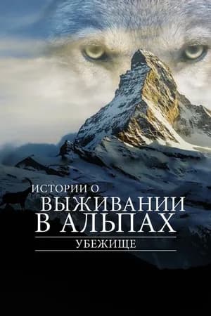 Постер к фильму Убежище. Истории о выживании в Альпах 2019