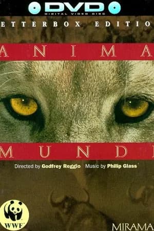 Постер к фильму Душа мира 1991