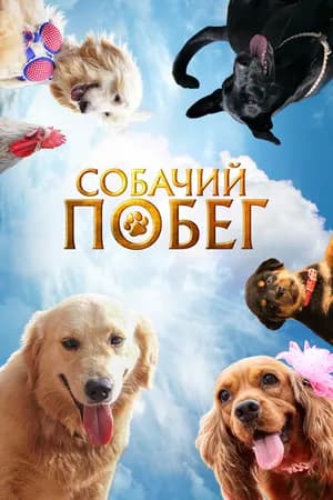 Постер к фильму Собачий побег 2023