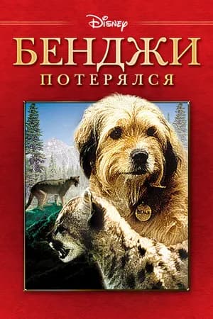 Постер к фильму Бенджи потерялся 1987