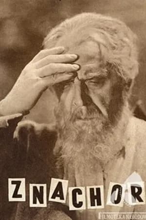 Постер к фильму Знахарь 1937
