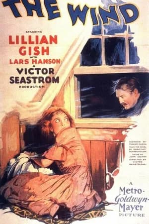 Постер к фильму Ветер 1928