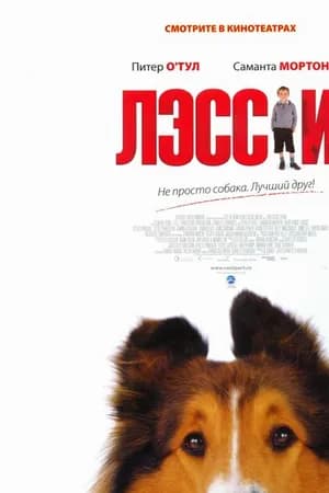Постер к фильму Лэсси 2005