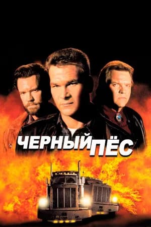 Постер к фильму Черный пес 1998