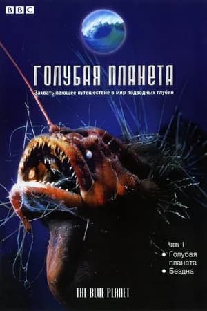 Постер к фильму Голубая планета 2001