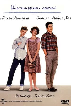 Постер к фильму Шестнадцать свечей 1984