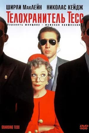 Постер к фильму Телохранитель Тесс 1994
