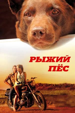 Постер к фильму Рыжий пес 2011