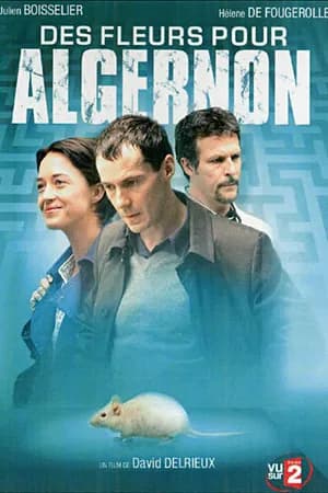 Постер к фильму Цветы для Элджернона 2006