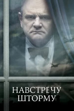 Постер к фильму Навстречу шторму 2009