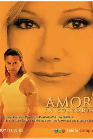 Постер к фильму Телохранитель 2005