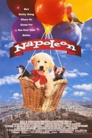 Постер к фильму Наполеон 1995