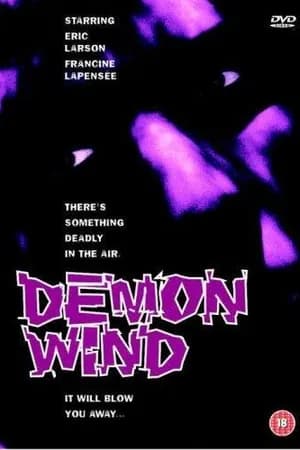 Постер к фильму Ветер демонов 1990