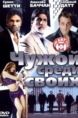 Постер к фильму Чужой среди своих 2002