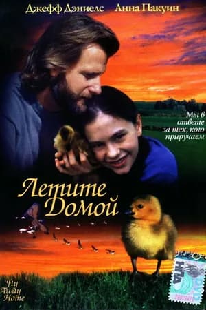 Постер к фильму Летите домой 1996