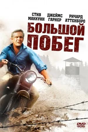 Постер к фильму Большой побег 1963