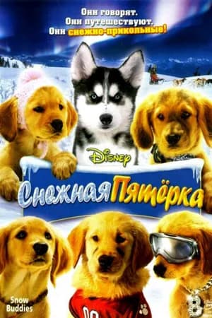 Постер к фильму Снежная пятерка 2008