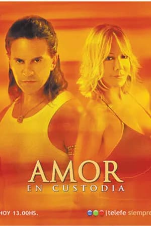 Постер к сериалу Телохранитель 2005