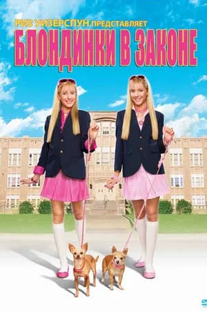 Постер к фильму Блондинки в законе 2009