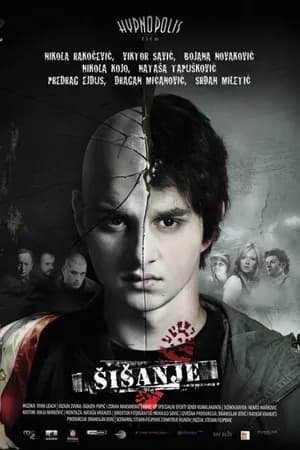 Постер к фильму Стрижка 2010