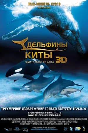 Постер к фильму Дельфины и киты 3D 2008