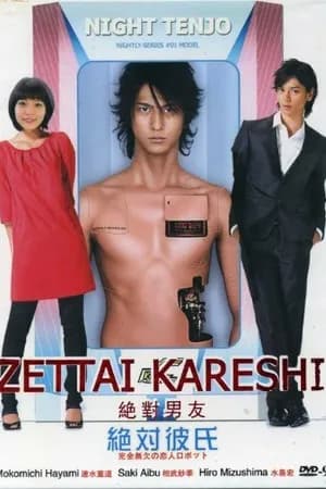 Постер к фильму Идеальный парень 2008