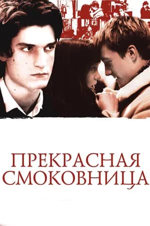 Постер к фильму Прекрасная смоковница 2008