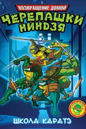 Постер к фильму Мутанты черепашки ниндзя. Новые приключения! 2003