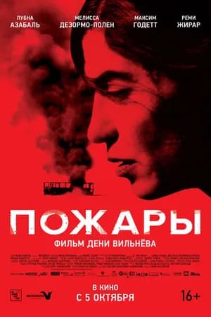 Постер к фильму Пожары 2010
