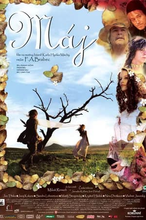 Постер к фильму Май 2008