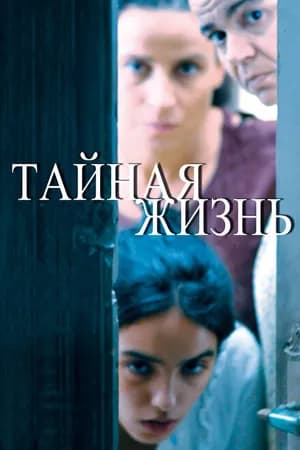 Постер к фильму Тайная жизнь 2009