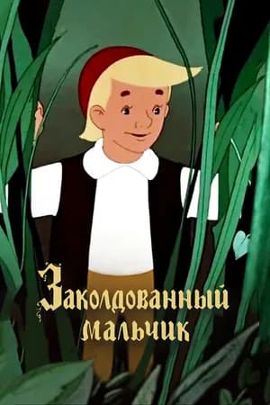 Постер к фильму Заколдованный мальчик 1955