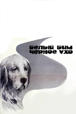 Постер к фильму Белый Бим Черное ухо 1976
