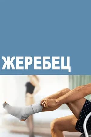 Постер к фильму Жеребец 2009
