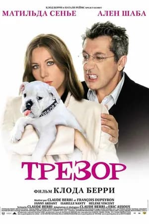 Постер к фильму Моё сокровище 2009